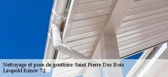 Nettoyage et pose de gouttière saint-pierre-des-bois-72430 Léopold Rénov 72