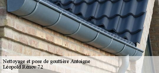 Nettoyage et pose de gouttière  antoigne-72380 Léopold Rénov 72