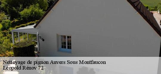 Nettoyage de pignon auvers-sous-montfaucon-72540 Léopold Rénov 72