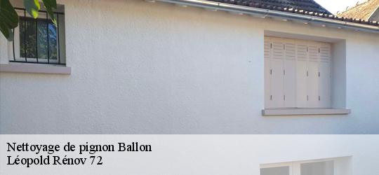 Nettoyage de pignon  ballon-72290 Léopold Rénov 72