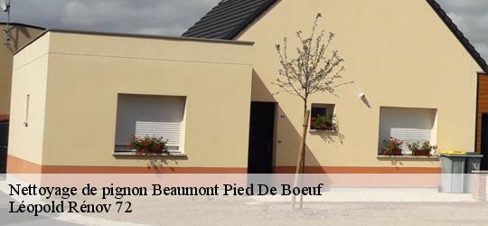Nettoyage de pignon  beaumont-pied-de-boeuf-72500 Léopold Rénov 72