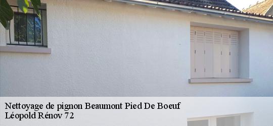 Nettoyage de pignon  beaumont-pied-de-boeuf-72500 Léopold Rénov 72
