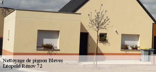 Nettoyage de pignon bleves-72670 Léopold Rénov 72