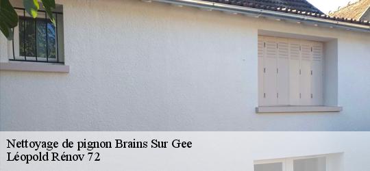 Nettoyage de pignon  brains-sur-gee-72550 Léopold Rénov 72