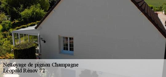 Nettoyage de pignon  champagne-72470 Léopold Rénov 72