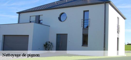 Nettoyage de pignon la-fresnaye-sur-chedouet-72670 Léopold Rénov 72