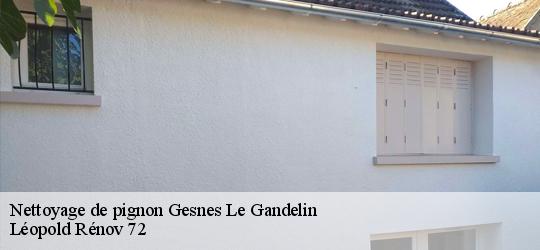 Nettoyage de pignon  gesnes-le-gandelin-72130 Léopold Rénov 72