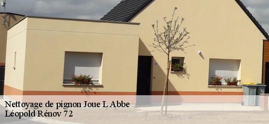 Nettoyage de pignon joue-l-abbe-72380 Léopold Rénov 72