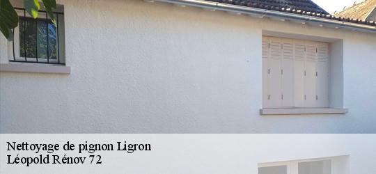 Nettoyage de pignon  ligron-72270 Léopold Rénov 72