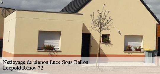 Nettoyage de pignon  luce-sous-ballon-72290 Léopold Rénov 72