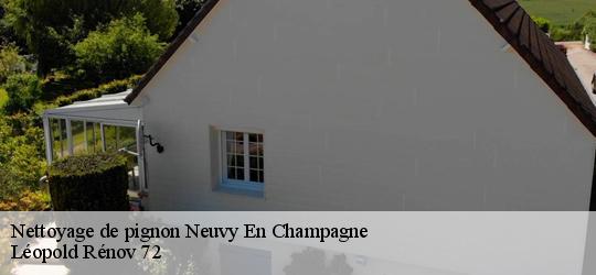 Nettoyage de pignon  neuvy-en-champagne-72240 Léopold Rénov 72