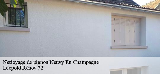 Nettoyage de pignon  neuvy-en-champagne-72240 Léopold Rénov 72