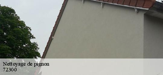 Nettoyage de pignon parce-sur-sarthe-72300 Léopold Rénov 72