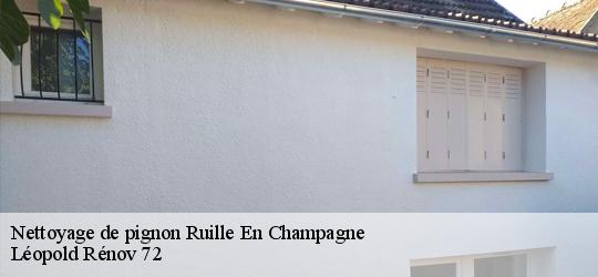 Nettoyage de pignon  ruille-en-champagne-72240 Léopold Rénov 72