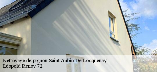 Nettoyage de pignon  saint-aubin-de-locquenay-72130 Léopold Rénov 72
