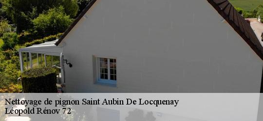 Nettoyage de pignon saint-aubin-de-locquenay-72130 Léopold Rénov 72
