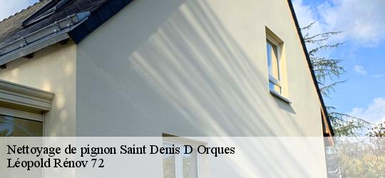 Nettoyage de pignon saint-denis-d-orques-72350 Léopold Rénov 72