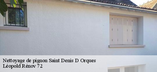 Nettoyage de pignon saint-denis-d-orques-72350 Léopold Rénov 72