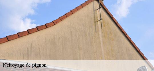 Nettoyage de pignon  saint-georges-du-rosay-72110 Léopold Rénov 72