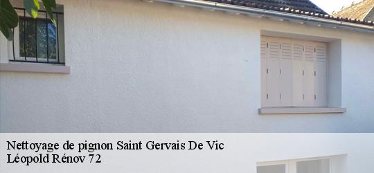 Nettoyage de pignon saint-gervais-de-vic-72120 Léopold Rénov 72