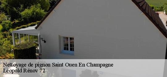 Nettoyage de pignon saint-ouen-en-champagne-72350 Léopold Rénov 72