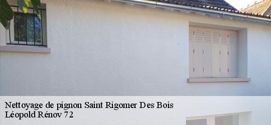 Nettoyage de pignon  saint-rigomer-des-bois-72610 Léopold Rénov 72