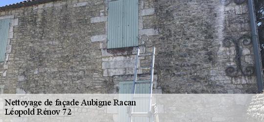 Nettoyage de façade aubigne-racan-72800 Léopold Rénov 72