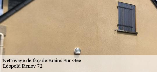 Nettoyage de façade  brains-sur-gee-72550 Léopold Rénov 72