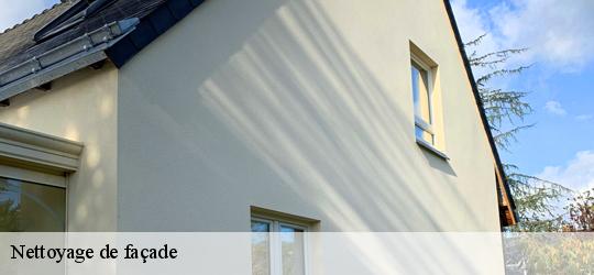 Nettoyage de façade  ecorpain-72120 Léopold Rénov 72