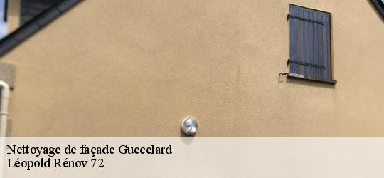 Nettoyage de façade guecelard-72230 Léopold Rénov 72