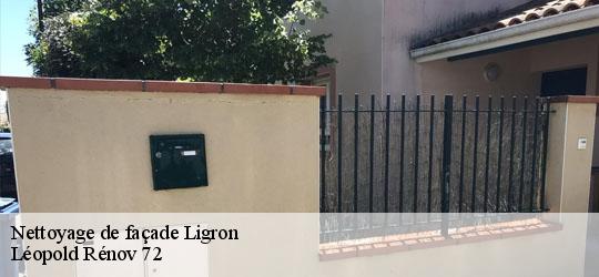 Nettoyage de façade  ligron-72270 Léopold Rénov 72