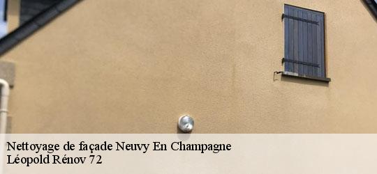 Nettoyage de façade  neuvy-en-champagne-72240 Léopold Rénov 72