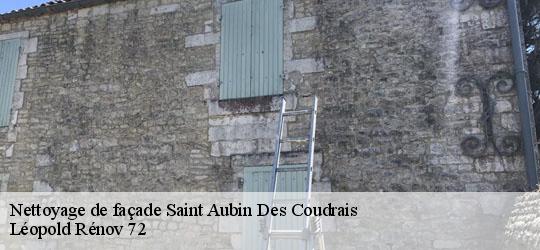 Nettoyage de façade saint-aubin-des-coudrais-72400 Léopold Rénov 72
