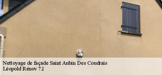 Nettoyage de façade saint-aubin-des-coudrais-72400 Léopold Rénov 72