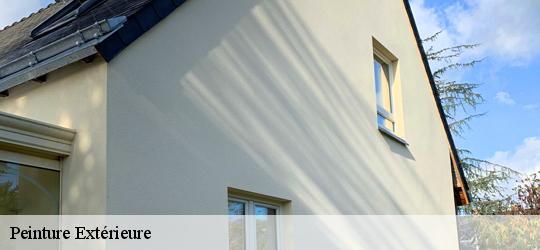 Peinture Extérieure artheze-72270 Léopold Rénov 72