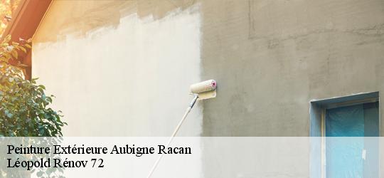 Peinture Extérieure  aubigne-racan-72800 Léopold Rénov 72