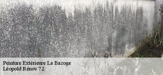 Peinture Extérieure la-bazoge-72650 Léopold Rénov 72