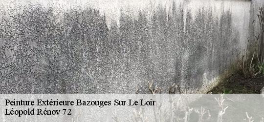 Peinture Extérieure  bazouges-sur-le-loir-72200 Léopold Rénov 72