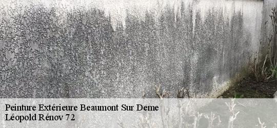 Peinture Extérieure  beaumont-sur-deme-72340 Léopold Rénov 72