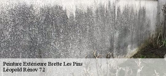 Peinture Extérieure  brette-les-pins-72250 Léopold Rénov 72