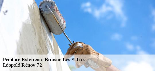 Peinture Extérieure  briosne-les-sables-72110 Léopold Rénov 72