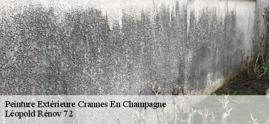 Peinture Extérieure  crannes-en-champagne-72540 Léopold Rénov 72
