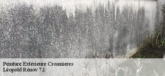 Peinture Extérieure crosmieres-72200 Léopold Rénov 72