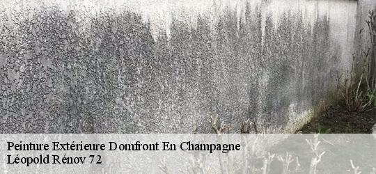 Peinture Extérieure  domfront-en-champagne-72240 Léopold Rénov 72