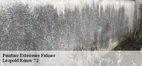Peinture Extérieure fatines-72470 Léopold Rénov 72