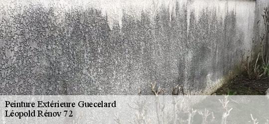 Peinture Extérieure guecelard-72230 Léopold Rénov 72