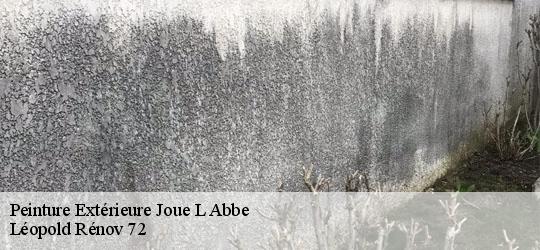 Peinture Extérieure joue-l-abbe-72380 Léopold Rénov 72