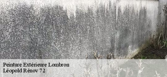 Peinture Extérieure lombron-72450 Léopold Rénov 72