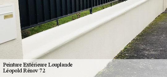 Peinture Extérieure  louplande-72210 Léopold Rénov 72