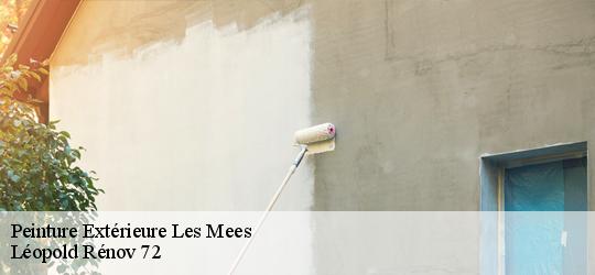 Peinture Extérieure  les-mees-72260 Léopold Rénov 72